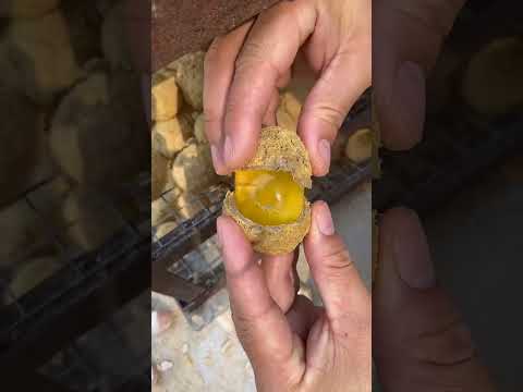 #food #cooking #videoshort #fruit #eggs #delicious #trunglon #funny #yummy #satisfying