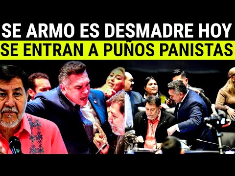 PARAN EN SECO A ALITO POR HABLADOR Y CINICO, NOROÑA NO SE LA PERDONÓ, PUÑÓS Y DESMADRE EN EL SENADO