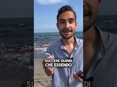 Polpette di Mare: i resti della Posidonia Oceanica #shorts