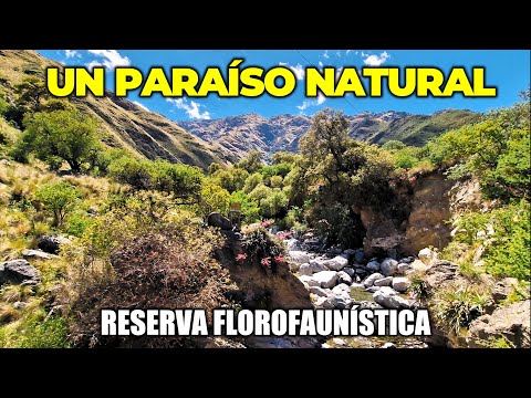 🤩 Un PARAÍSO entre las SIERRAS 🌄 RESERVA FLOROFAUNISTICA | #Merlo #SanLuis #Argentina