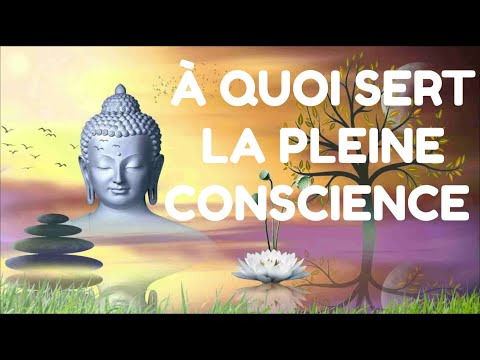 À QUOI SERT LA PLEINE CONSCIENCE