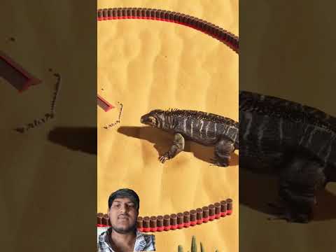 "Transform Your Home with These Cool Tools! 🔧 #shorts #gadgets" 116