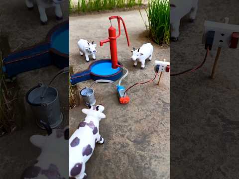 Mini Handpump Water Motor And Cow Video Project
