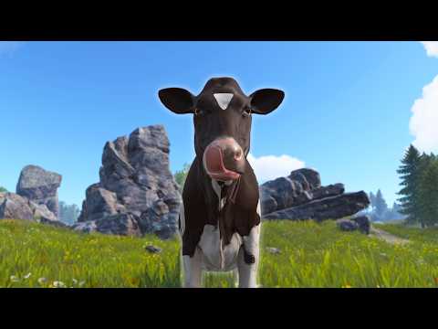 cow