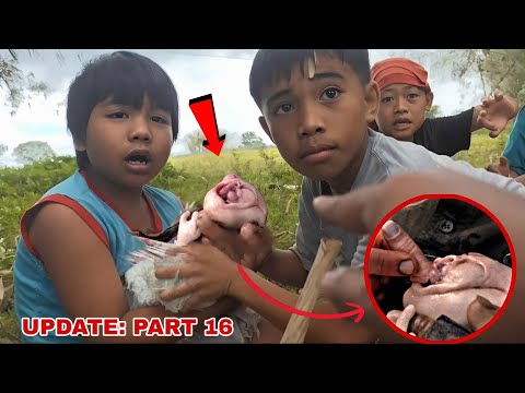 JUSKO PO ANAK PALA ITO NG WRONG-TURN DAPAT ITINAPON NA NAMIN ANG BATANG TO ! LAGARI MASAKER PART 16