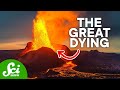 Mass Extinctions and Their Causes