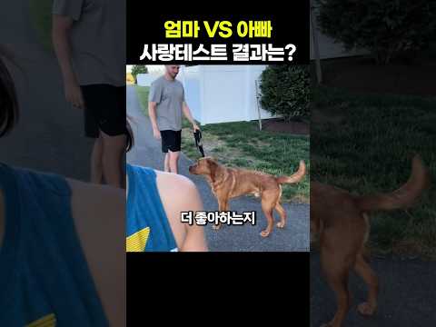 엄마 vs 아빠 사랑 테스트 결과는?