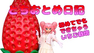 ☆るなイーたんのとちおとめ日記【その2】 ～いちご栽培で美味しいとちおとめを育てましょ^^