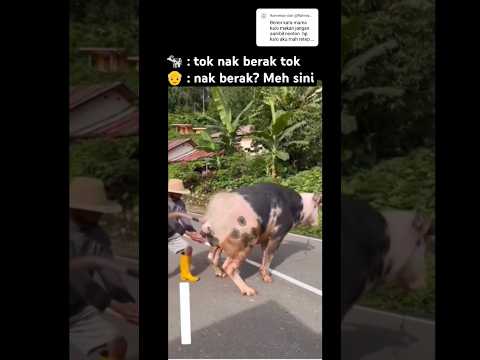 PETERNAK YANG BERTANGGUNG JAWAB