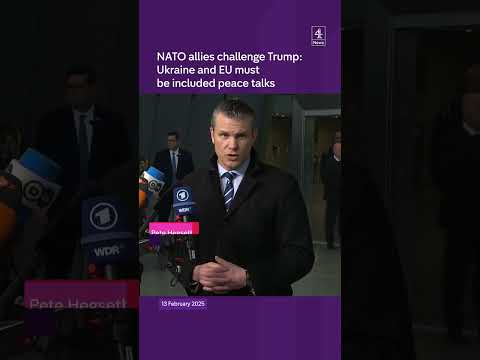 NATO allies challenge Trump's Ukraine plans