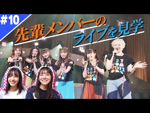 Ebichu New Member 2022 All Increased MIX #10