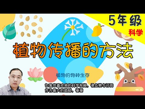 【植物传播的方法】 