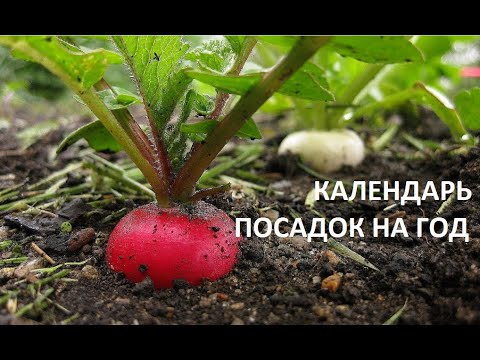 Календарь посадок на год