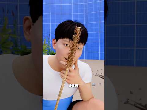 How To Use Ants Against Spiders 🐜😱 #ants