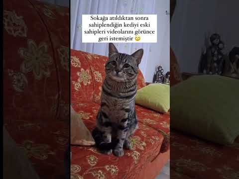 Söylenecek çok şey varda neyse 😿🎥tayderful13