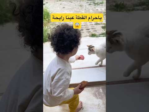 ياحرام قطة بعين وحدة 🥲