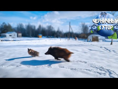 Циклон изменил все планы хуторян. Посреди весны оказались в сугробах