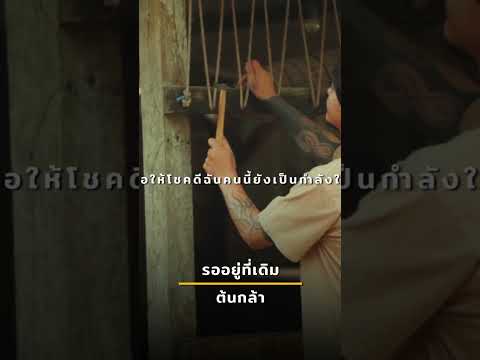 รออยู่ที่เดิม - ต้นกล้า #shorts