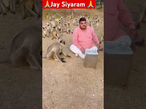 Captain ko Puri theli chahiye