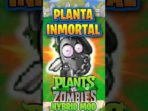 猫の動画サムネイル - NUEVA PLANTA INMORTAL | PLANTAS VS ZOMBIES HYBRID #pvz #pvzfusion #pvzmod #PlantasVsZombies