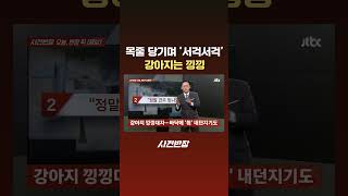 목줄 당기며 '서걱서걱'…강아지는 낑낑 #JTBC #Shorts