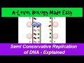 DNA Replication Concepts and Mechanisms