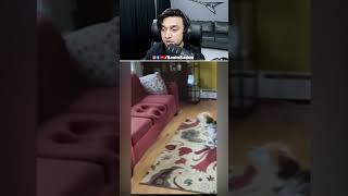 সোফায় কে বসলো | Bangla Funny Video (Meme Review) | KaaloBador