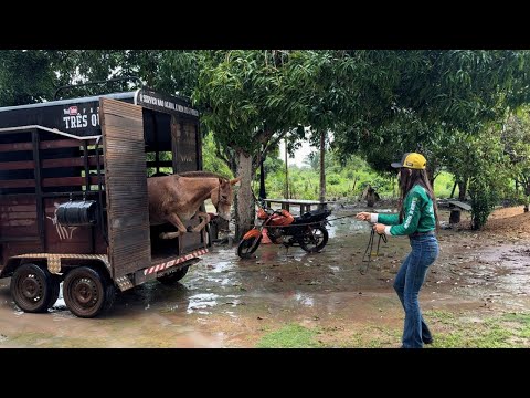 MINHA MULA FOI EMBORA DA FAZENDA XODÓ 😰