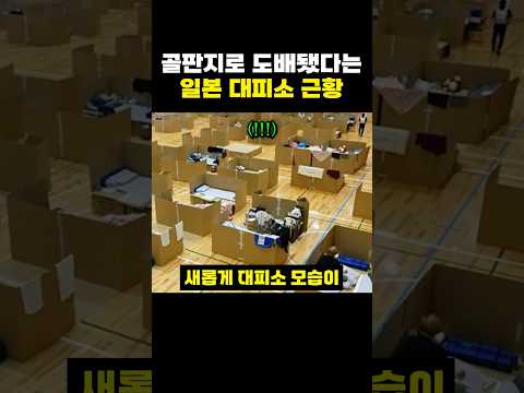 골판지로 도배됐다는 일본 <strong>대피소</strong> 근황