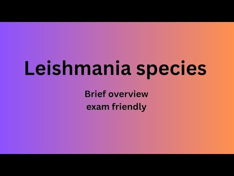 Leishmania species || Quick overview and Exam friendly.