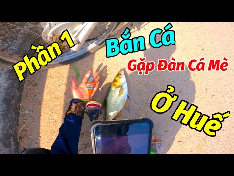 Ná CAO SU Bắn Cá - Phần 1 : Bất ngờ gặp đàn cá mè khi đến điểm bắn biển Vinh Thanh Huế - Thạnh AST
