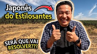 O JAPONÊS DO ESTILOSANTES ACEITOU O DESAFIO