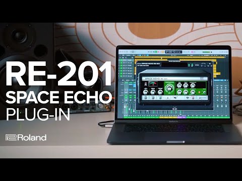 Roland RE-201 Space Echo Plug-In Overview