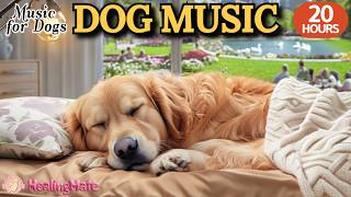 강아지가 좋아하는 음악🐶💖강아지 수면 음악 20시간🐶🎵강아지 힐링을 돕는 피아노 안정 음악🎵분리불안 걱정 없는 꿀잠 수면 음악🎵외출할때 출근할때 꼭 틀어주세요 by 힐링메이트