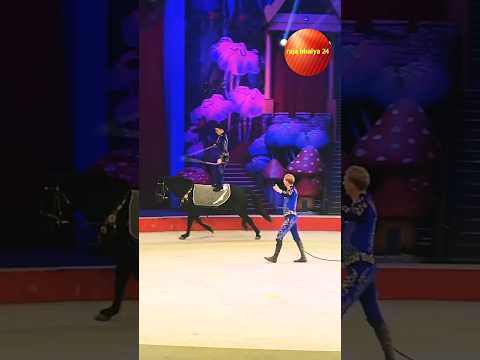 Horse circus part 2 🤯🔥#circus #shortsfeed #shorts #trending