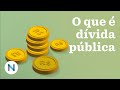 Dívida Pública e Finanças do Governo