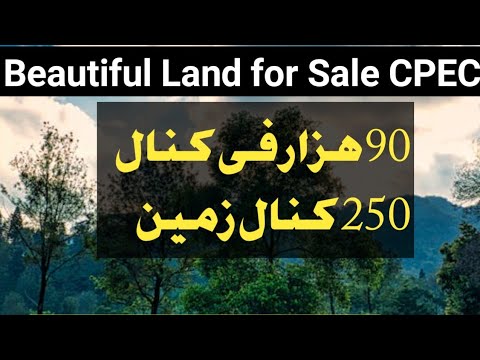 Land for Sale | Cheap Land for Sale | 250 kanal Land for Sale near CPEC