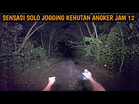 LARI LEWATI HUTAN LARANGAN SENDIRI~JANGAN LEWAT SAAT MALAM~HUTAN LARANGAN~BAU BUSUK NGIKUT.