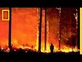 Understanding Wildfires and Climate Change