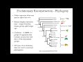 Biological Classification and Clades