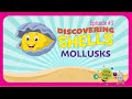 Mollusks and Their Ecosystem Roles