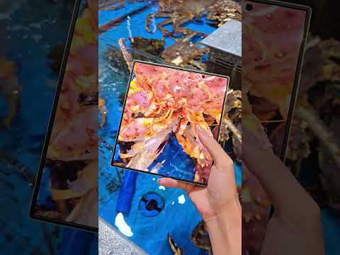 200 million pixel large foldingEven Samsung's foldable phone can reach 200 million pixels