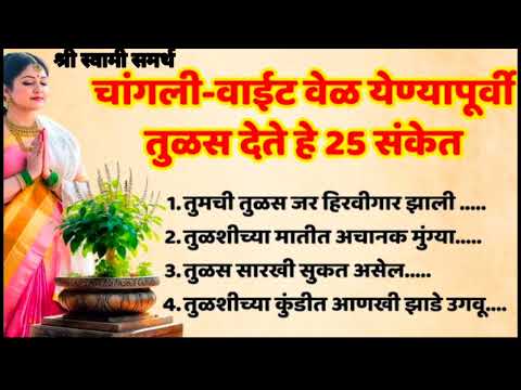 चांगली वेळ येण्यापूर्वी तुळशी देते हे 25 संकेत l आताच सावध राहा तुमच्या घरात तुळस असेल तर