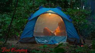 Solo Camping by a Mountain Stream | Survival Cooking & Relaxing Forest ASMR