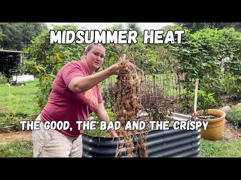 Real Life Gardening | What Died, What Survived and What's Next