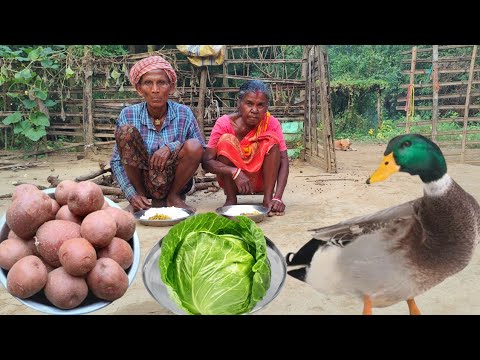 old poor grandma cooking DUCK MEAT curry || village old couple how to cook and eat || village life