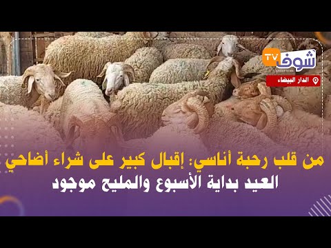 من قلب رحبة أناسي: إقبال كبير على شراء أضاحي العيد بداية الأسبوع والمليح موجود