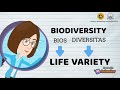 Biodiversity and Its Importance
