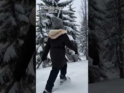 #viral#love#snow#winter #nature#explore#youtubeshorts #ytshorts#youtube#shorts #short#shortvideo#yt