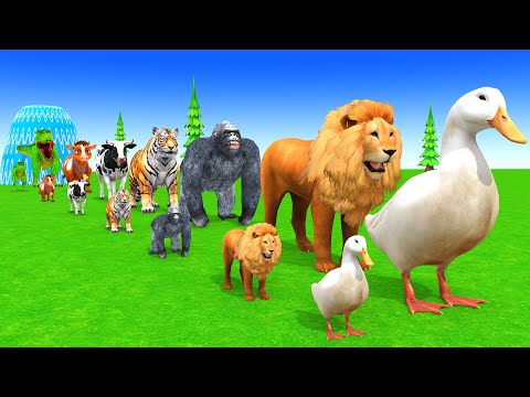 Long Slide Game with Cow Elephant Gorilla Hippopotamus Tiger 3d Animal Game Funny 3d Animals